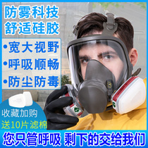  Gas mask full cover painting mask Anti-gas industrial chemical gas odor dust pesticide respirator
