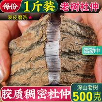 Eucommia 500g wild eucommia tea male tea wine old tree Eucommia ulmoides male flower du swollen Eucommia eucommia bark powder