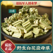 Fresh motherwort Chinese herbal medicine Woman flower tea water conditioning menstrual supplies with brown sugar 500g can soak feet