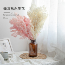 Man Yue Penglai Song Yongshenghua DIY material package diy wreath floating flower wedding Group fan material dried flower material