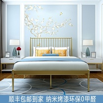  Iron bed Double bed reinforced bold rental room with modern simple European style bed Master bedroom high-end luxury luxury