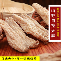 Twelve 500g red slices of non-milled premium wild Chinese herbal medicine from deep mountain farmers