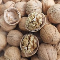 Wholesale new goods in 2020 Xinjiang specialty Aksu 185 paper-skinned walnuts in bulk hand-kneaded and ready-to-open