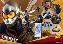 New Spot Shunfeng HotToys HT MMS498 Ant Man 2 Hornet Female Show on the Hornet
