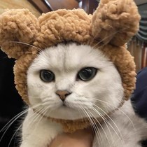 Cute bear ear cat headgear birthday dress up plush cat headgear hat engage small dog dog photo