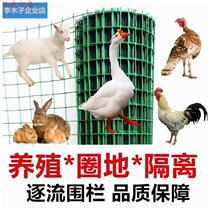 Nets barbed wire breeding nets Breeding Chickens Breeding Duck Fence Isolated Nets Protective Nets Fishpond Vegetable Garden Fenced Nets Orchard
