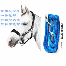 (Special price)Equestrian bridle with velvet lead bridle High quality bridle set Horse equipment Training bridle