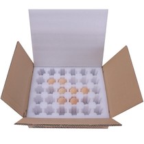 Egg Toole Egg Tool Full Moon Disposable Plastic Egg Toolegg Packaging Box Egg Packaging Course