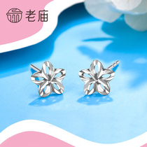 Old temple platinum Pt950 hollow star stud earrings earrings womens light luxury earrings new trend small red book with the same gift