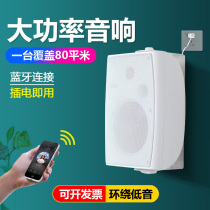 Dance Classroom Special Wall-to-wall Conference Sound Chamber Home Bluetooth Active Mike Speaker Fitness Room Hung Wall-mounted Dining Room Microphone Horn Dance Room Shop Commercial Low Sound Cannons