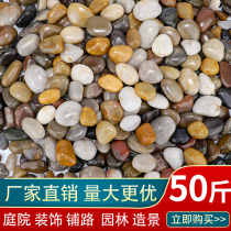 Cobblestone Paving Ground Patio Natural Rain Flowers Stones Original Stone Landscaped Terrace Size Fish Tank Built with colorful pebble