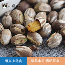 Honey-lad snacks tank worm larvae honey Koll squirrel fattening Beauty Hair dormouse hedgehog hamster Flower Branch flying squirrel