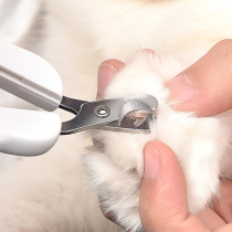 Cat nail clippers pet nail clippers dog nail clippers artifact novice special cat claw rabbit cat scissors supplies