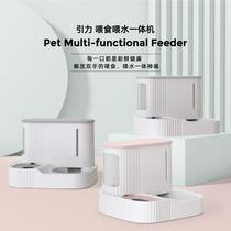 Pet Kitty Automatic Water Dispenser Feeder automatic water storage sequel feeders Cat Pooch Bowls Pet Supplies