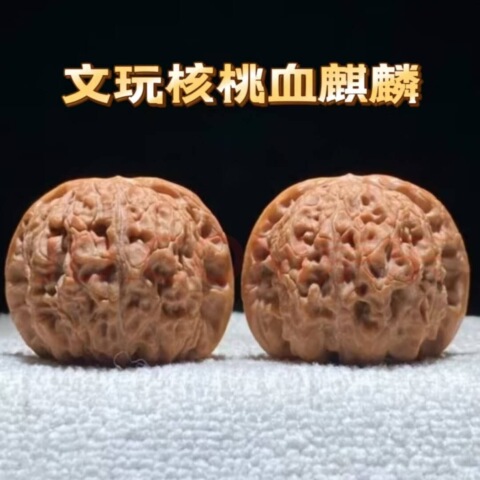 文玩核桃血麒麟精选和文玩核桃血麒麟品牌价格与图片-淘宝商品网