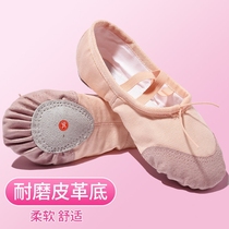 Childrens dance shoes female adult soft bottom practice Shoes ballet Chinese shape shoes for men and women children cat claw shoes Net red in