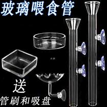 Glass feeding esophagus crystal shrimp feeding tube aerial shrimp food basin double suction cup Bell mouth ornamental fish turtle feeding shrimp device