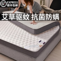 Summer mattress upholstered double home thickened Simmons 10cm mat tatami floor sleeping mat mat mat mat