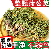 Dandelion 500g wild dandelion tea dry goods female Fresh root herbal medicine