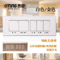 Long 118 type Bath switch 5 bathroom 5 open toilet air heating switch 16A high power Universal