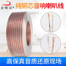 Gold scale feather pure copper high fidelity sound line 100 200 300 400 Type 600 transparent gold and silver sound box line