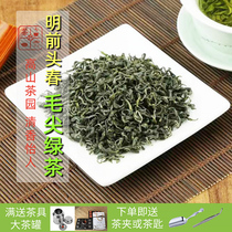 2021 Mingqiang Chunxin Tea Qingxiang Meizhou Baxiang Mountain Special Products 500g Super Alpine Maojian Green Tea