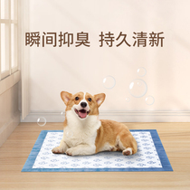 Henks Pet Urine Pad Deodorizing and Thick Cat Diabetes Pad Experience Rabbit