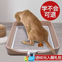  Dog toilet Extra Large Large dog Labrador Husky Samoyed Corgi special dog toilet
