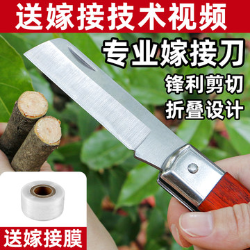 可折叠果树嫁接专用刀膜嫁接工具全套大树接树架接手工刀嫁接神器