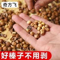 2021 hand pat hazelnut northeast Tieling specialty wild original fried thin skin small hazelnut dried nuts