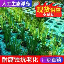 Reservoir river water purification planting plate water green garden transformation suspended rice water quality purification floating bed water lily Outdoor