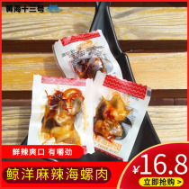 Weihai spicy sea conch meat open bag ready-to-eat vacuum seafood snacks cooked food small bag 500g