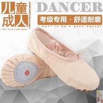 Ballet shoes adult soft bottom practice outside wearing male body dancing cat claw red female professional dance single shoes summer
