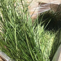 Drying Ti Moshe Grass Rabbit Dry Grass Dragon Cat Dutch Pig Guinea Pig Herd 1000g