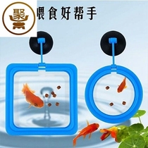 Buoyancy small fish feeder Feeding circle Aquarium fish tank Fish food Fish food Fish feed feeding circle Fish feeding circle