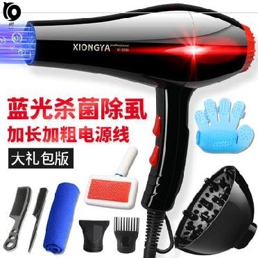 Drying pull hair water blower Dog hair dryer High-power silent pet special quick-drying puppy Corgi Haas 