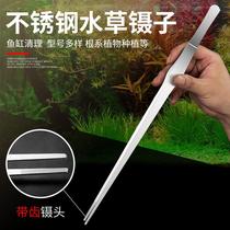 Tweezers to feed turtles Stainless steel round head with teeth long handle to pick up fish tank turtles to feed special aquatic plants lengthened