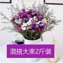 Yunnan natural air-dried real flower forget-me-not dried flower bouquet home furnishings small fresh dried flower gypsophila on Jin