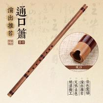 Kuzhu Dongxiao Refined Tongkou Whole Short Flute FG Tune Professional Playing Forward and Backhand Musical Instruments Adult Beginners