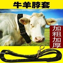 Dog Collar special dog collar shuan niu dedicated rope of the comics and leading crude cattle farm belt neck cage cervical sheep big