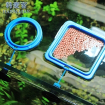 Feeding circle Floating circle Anti-feeding Tropical feeding feeder Aquarium guppy Fish food feed Fish food fish tank