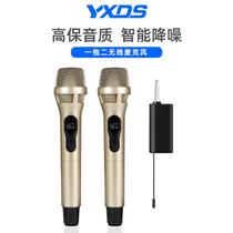 One drag two wireless microphone home KTV stage wedding performance singing live broadcast with cargo ring microphone