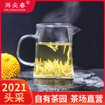  Tea farm self-operated] 2021 New tea golden bud premium Mingqian bulk 50g Anhui Xuancheng specialty fried green tea