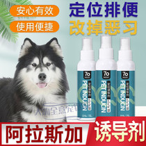 Alaska Special Divine Instrumental Positioning Inducers Dogs Bowels to relieve themselves in the bowels of the Toilet Bowl and the Toilet Bowl of the Toilet Bowl