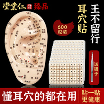 Renyetang flagship store Ear point stickers Wang Unrestrained Seed ear bean stickers Pressure point ear stickers Ear point stickers Care and care