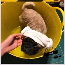 Drainage bath dog bath Cat and dog bath tub Bath tub Cat bath tub Small dog pet Teddy bath tub