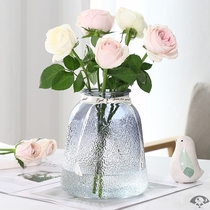Glass Vase ornaments simple Nordic flower hydroponic vase living room creative hipster transparent glass