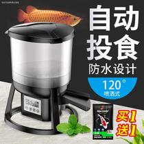 Koi automatic fish feeder Professional outdoor indoor timing feeder fish intelligent large capacity fish pond