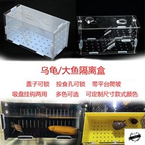 Turtle isolation box comes with Sun table aquarium isolation box turtle feeding box fish and shrimp isolation box fighting fish turtle shrimp