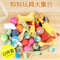 Little dog toys bite-resistant puppies molars Corky Teddy golden hair screaming chicken pet relief artifact supplies
